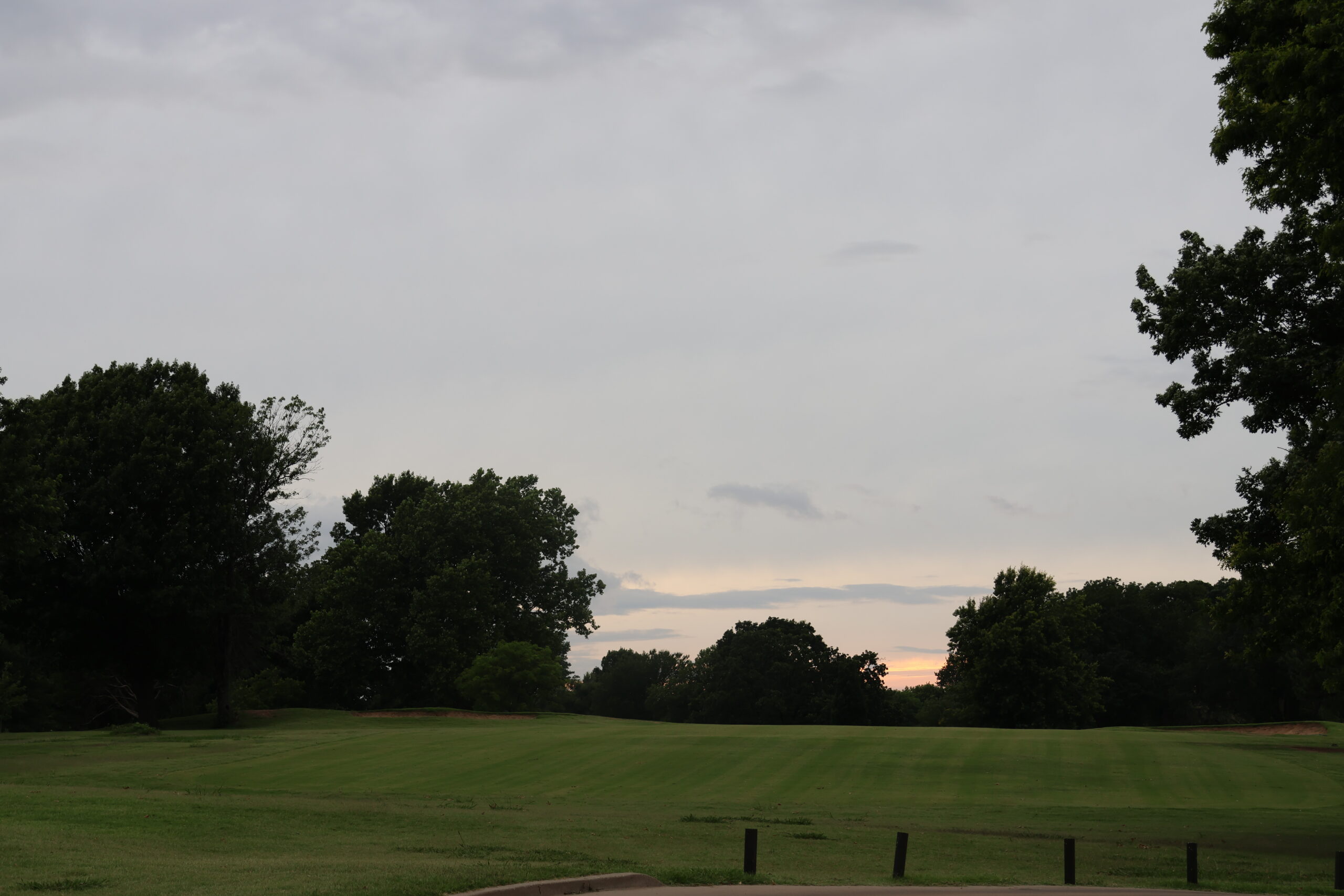 A serene landscape at dusk with a grassy field bordered by large trees under a cloudy sky. The horizon glows softly, evoking a calm, peaceful mood.